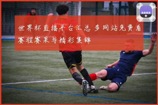 世界杯直播平台汇总 多网站免费看赛程赛果与精彩集锦