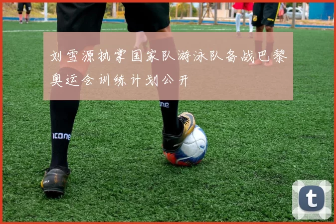 刘雪源执掌国家队游泳队备战巴黎奥运会训练计划公开
