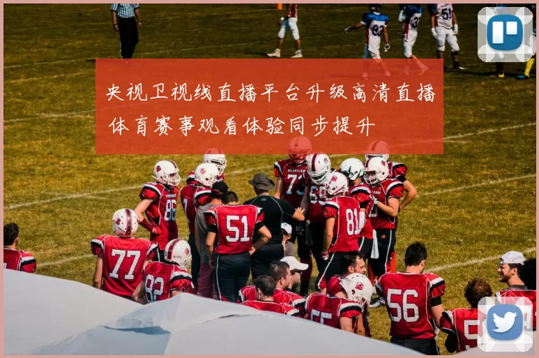 央视卫视线直播平台升级高清直播 体育赛事观看体验同步提升