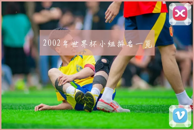 2002年世界杯小组排名一览